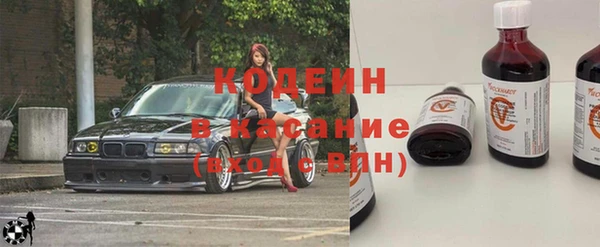 индика Елабуга