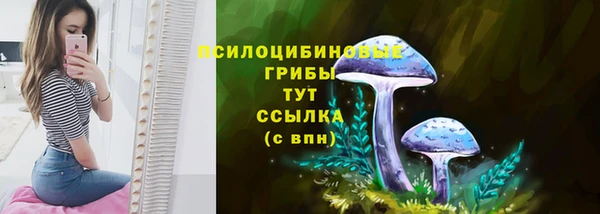 молекула духа Горно-Алтайск
