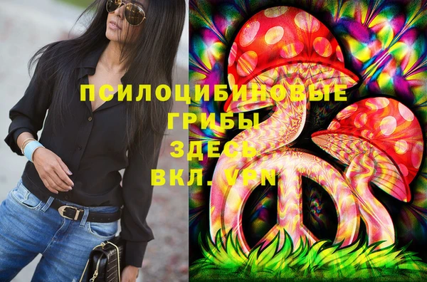 амф Горнозаводск