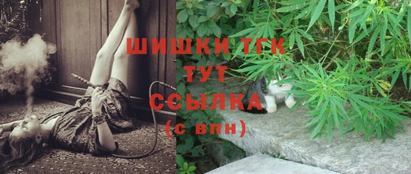 амф Горнозаводск