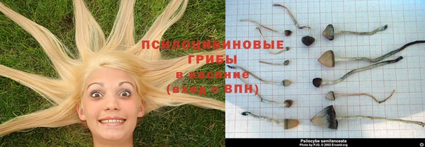 spice Хадыженск