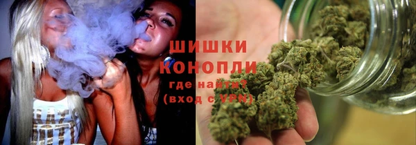шишки Фурманов