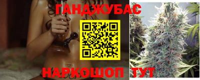 прущие грибы Будённовск