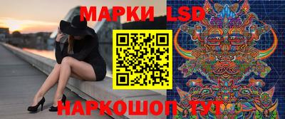 прущие грибы Будённовск