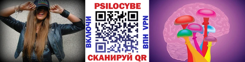 Псилоцибиновые грибы Psilocybe  Дубна 