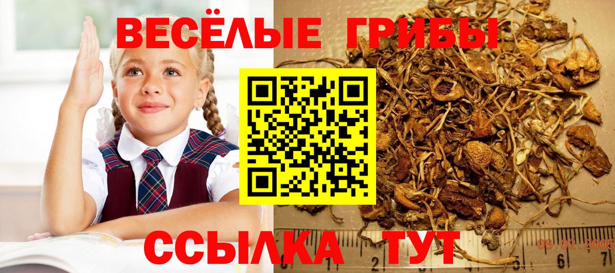 Галлюциногенные грибы Magic Shrooms Дубна