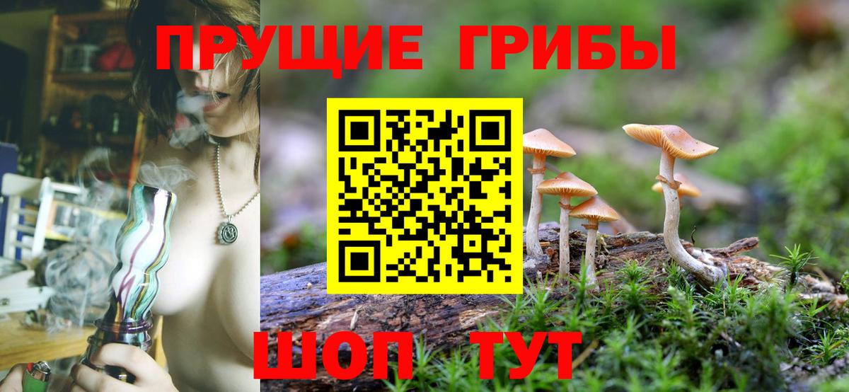 Галлюциногенные грибы прущие грибы  Вход с VPN  Дубна 
