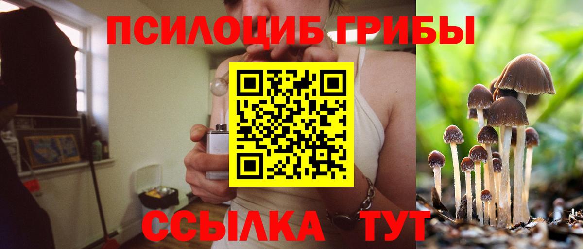 Псилоцибиновые грибы GOLDEN TEACHER  Дубна 